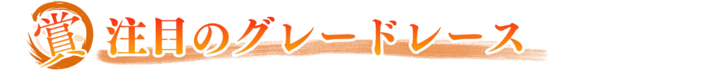 注目のレース